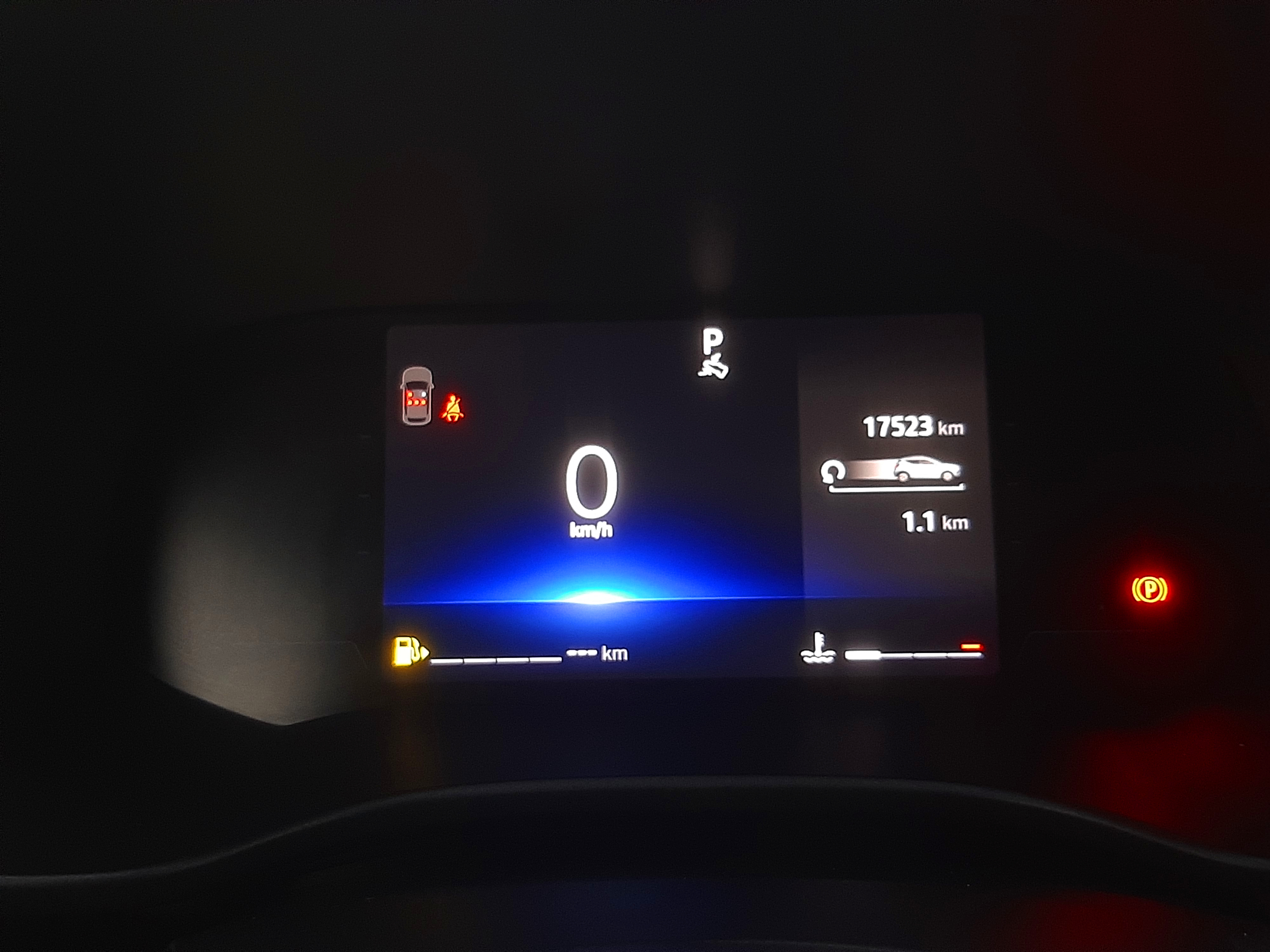 RENAULT KARDIAN
